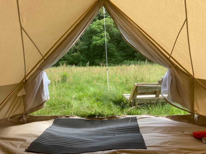 Wild Glamping In A 40 Acre Ancient Woodland. - Liskeard