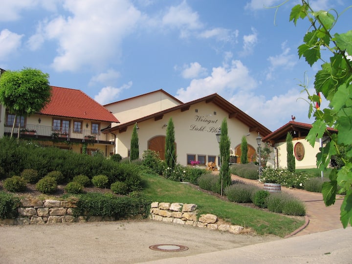 Ferienwohnung Im Weingut Mitten In Der Weinbergen - Saulheim
