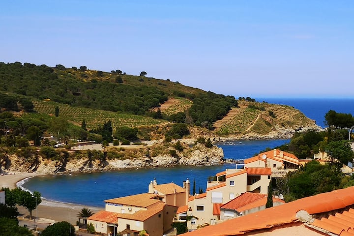 Exceptional Location And Views (Sea, Montains, Winyards) In The Best City Around - Collioure