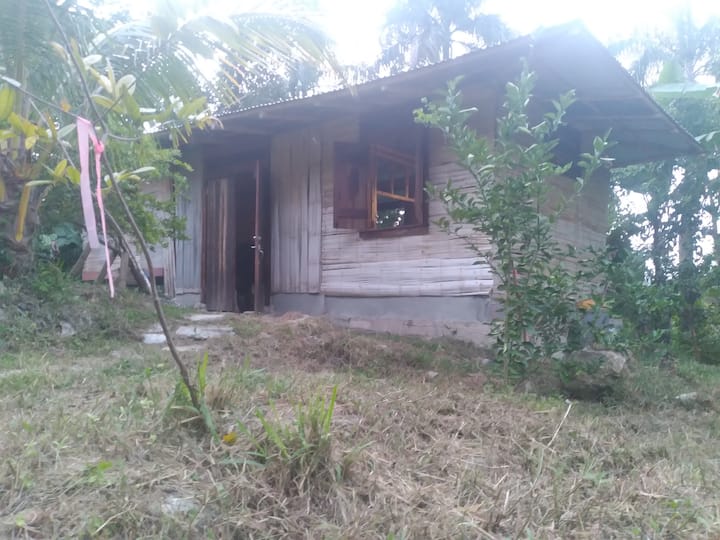Rustic Bambú Cabin - Utuado