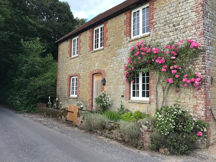 Cosy Cottage - Midhurst
