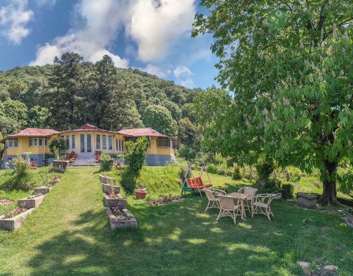 Casalini Estate |7 Acres | British Heritage Home - Shimla