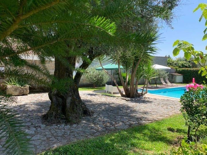 Country House With Pool - Carregal do Sal