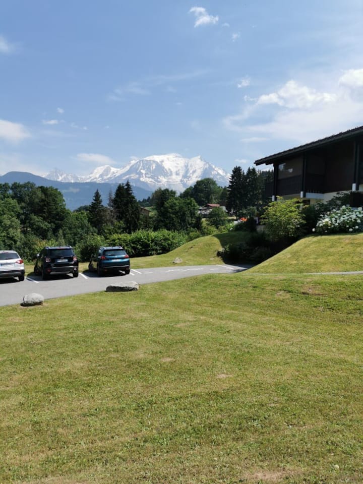 Combloux : Agreable Studio Face Au Mont Blanc - Sallanches