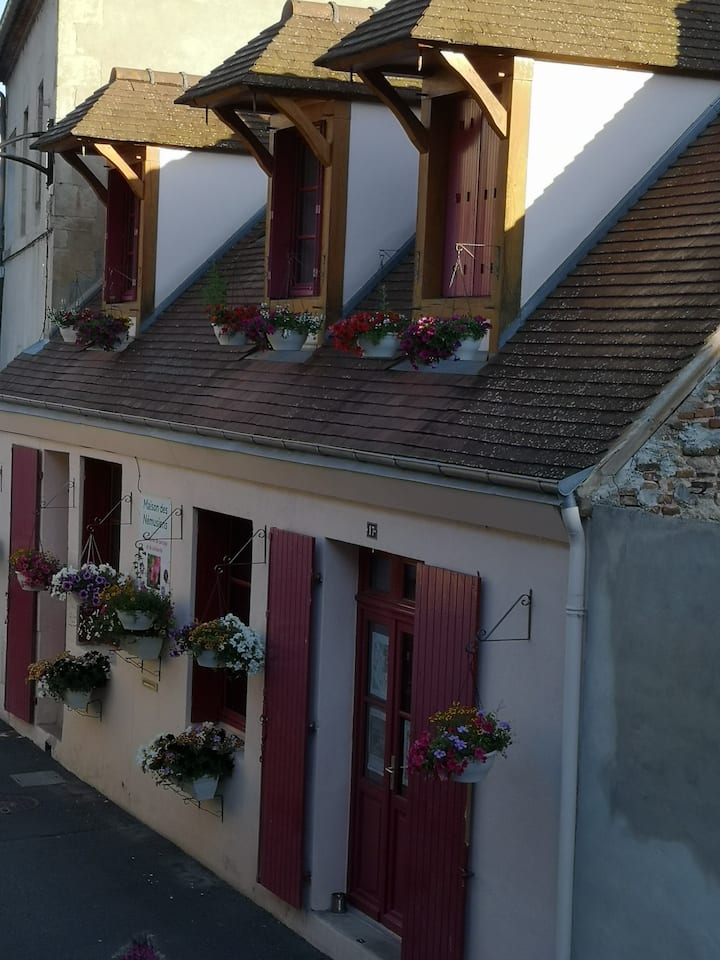 Saint-pourçain-sur-sioule : Maison Des Némusiens - Varennes-sur-Allier