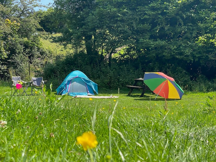 Camping Pitch #1 - Camping Ty Du Farm - Llanelli