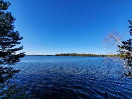 Crosslake, MN Apartments and Condos For Rent cozycozy