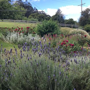 Warburton Apartments and Condos For Rent cozycozy