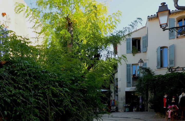 Le Murier Bleu, Appartement De Charme Au Castellet - Saint-Cyr-sur-Mer