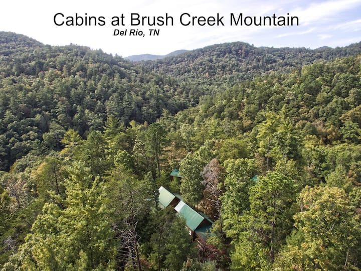 Cabins At Brush Creek Mtn - Falcons Nest - Tennessee