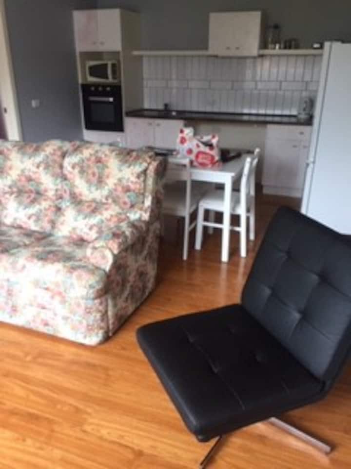 Picnic Point Apartment - 2 Br Cutie - 베언즈데일
