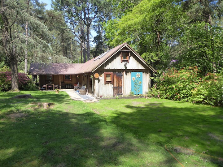 Rose Cottage - New Forest