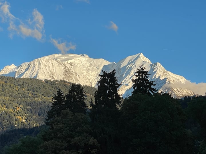 One-bedroom Apartment In A Chalet In Domancy, Terrace With Mont Blanc View - Sallanches