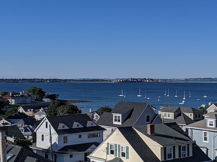 Magnificent Ocean View; 10 Minutes To Salem Center - Nahant, MA