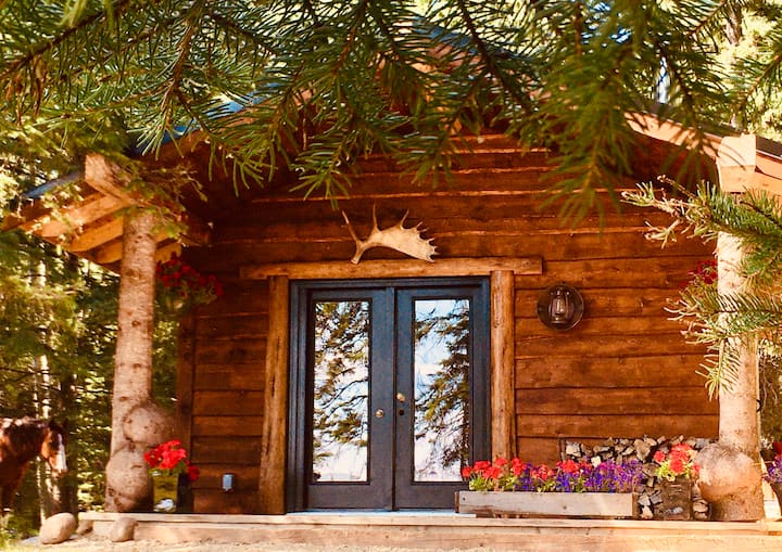 Private Romantic Retreat In Our Cozy Rustic Cabin - Alberta
