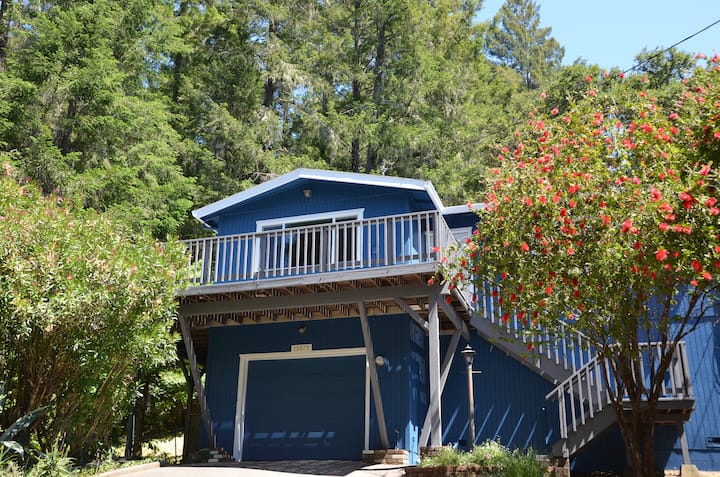 The Wright Cottage-walk To Town-hot Tub - Russian River, CA