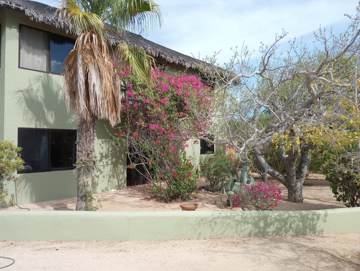 Casa Pájaros - Private 2-story Home - Cabo Pulmo National Park