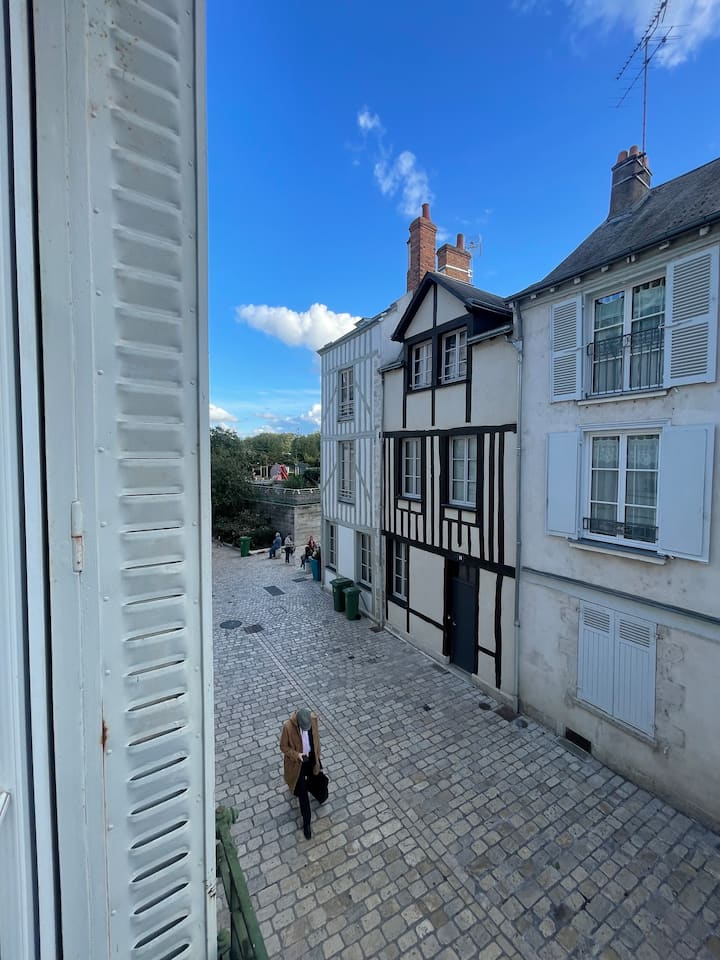 Appartement Ancien à Orléans - Le Zenith d'Orléans