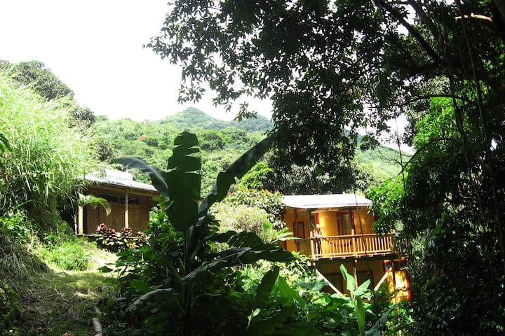 Casa Kadam: Puerto Rico Rainforest Retreat - Porto Rico