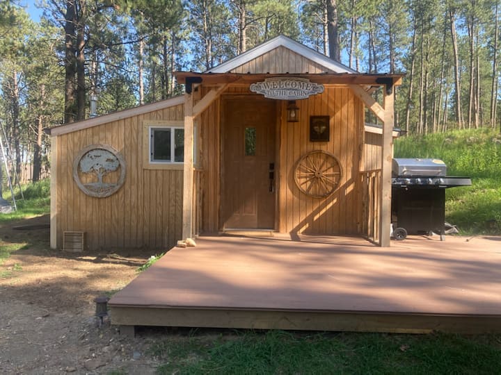 Cozy Private Cabin - Custer, SD