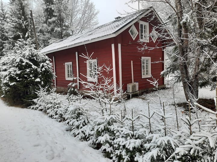 A Cosy Cottage With The Comforts - Hämeenlinna
