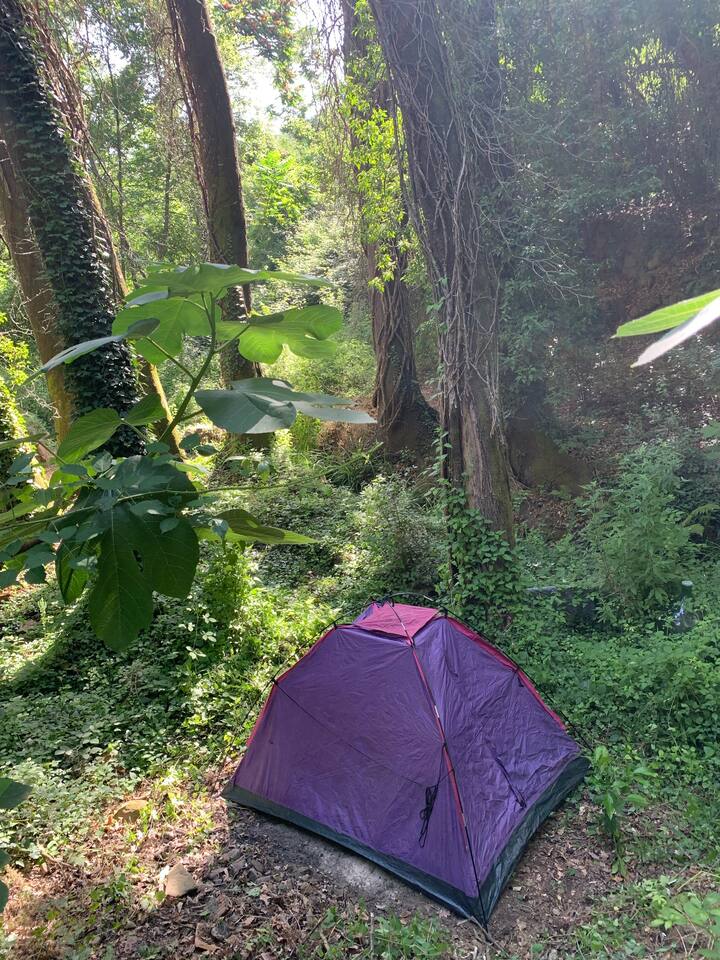 Tent In Woods 28km From Firenze - Pistoia