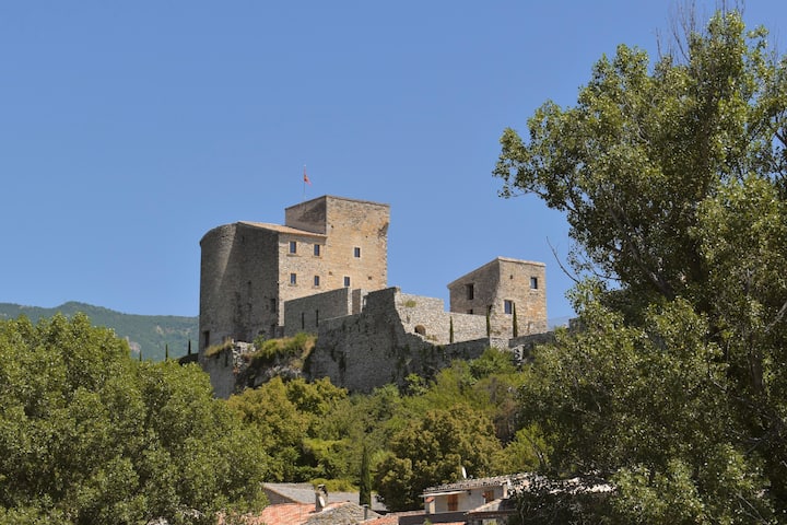 Château En Drôme Provençale - Buis-les-Baronnies