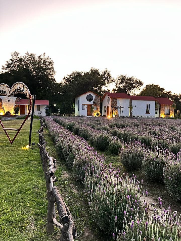 Eco-friendly Cabins With A View - Querétaro