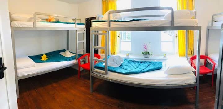Room Mate Hostel 8-bed 2 - Beverwijk