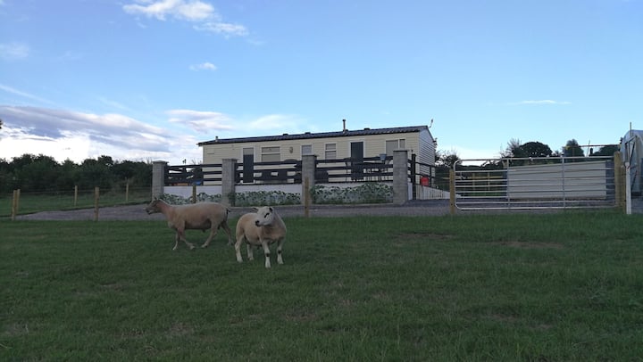Graiguenamanagh Farm Stay - County Kilkenny