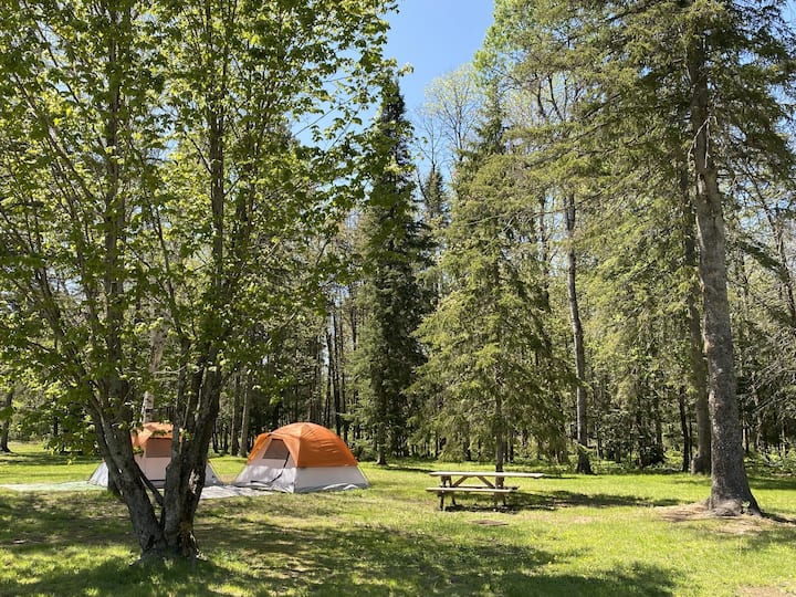 Glamping-tents - Algonquin Provincial Park