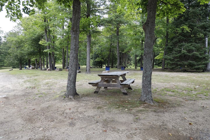 No Service Tent Sites - Parc provincial Algonquin