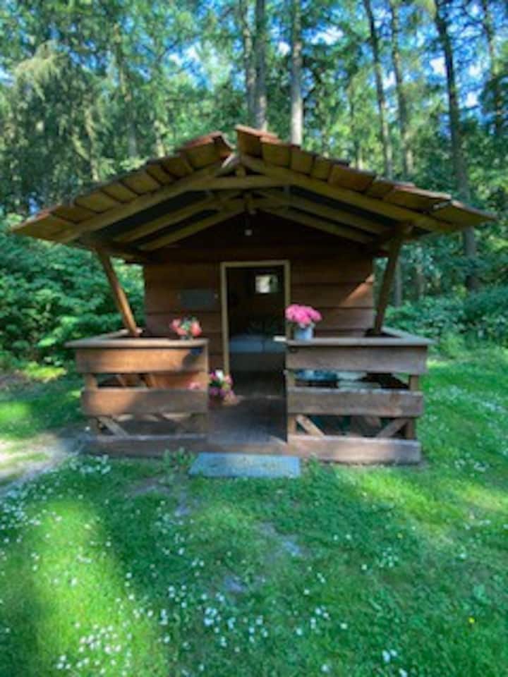 Nette Kleine Blockhütte - Wildeshausen