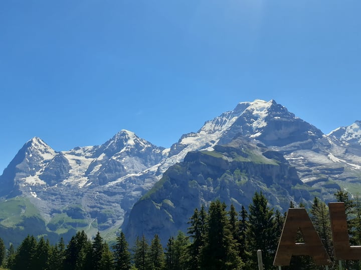 Ruhe, Erholung Und Bergnatur - Grindelwald