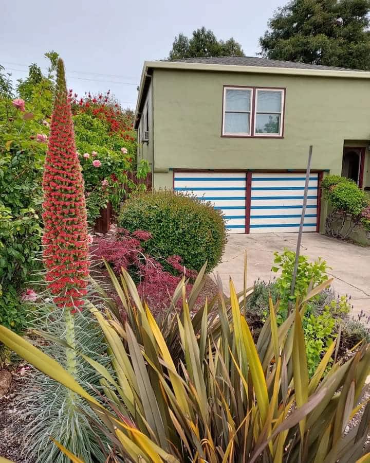 Large Room Close To Ferry & Napa - Vallejo, CA