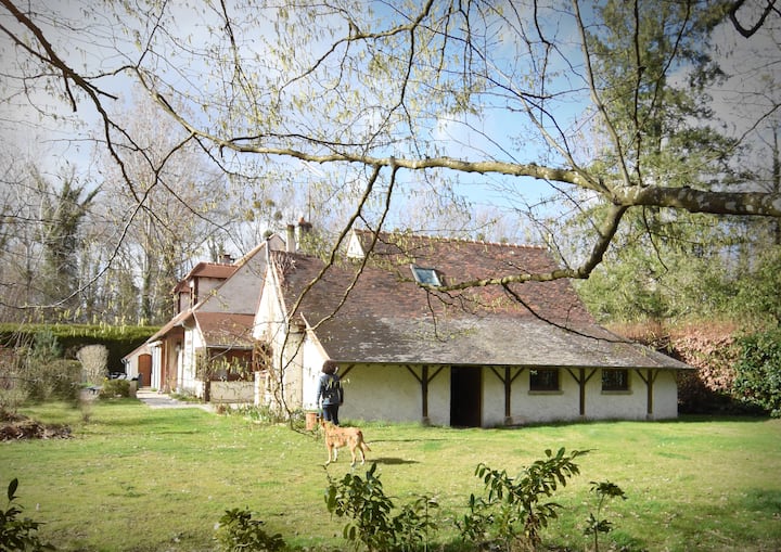 Maison En Forêt De Fontainebleau - Milly-la-Forêt