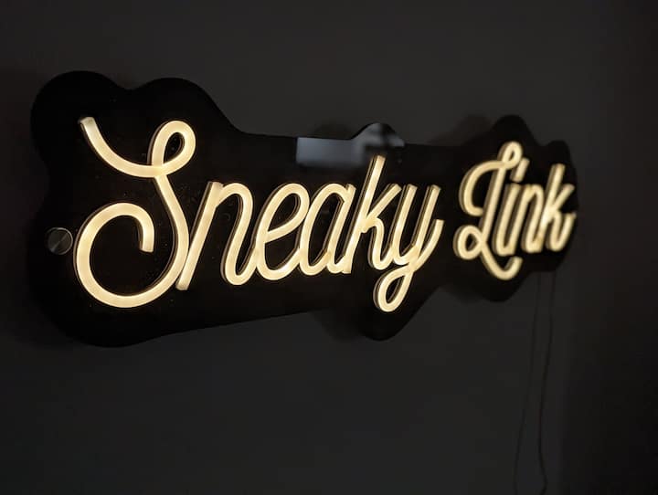 The Sneaky Link - Hunting Park - Philadelphia