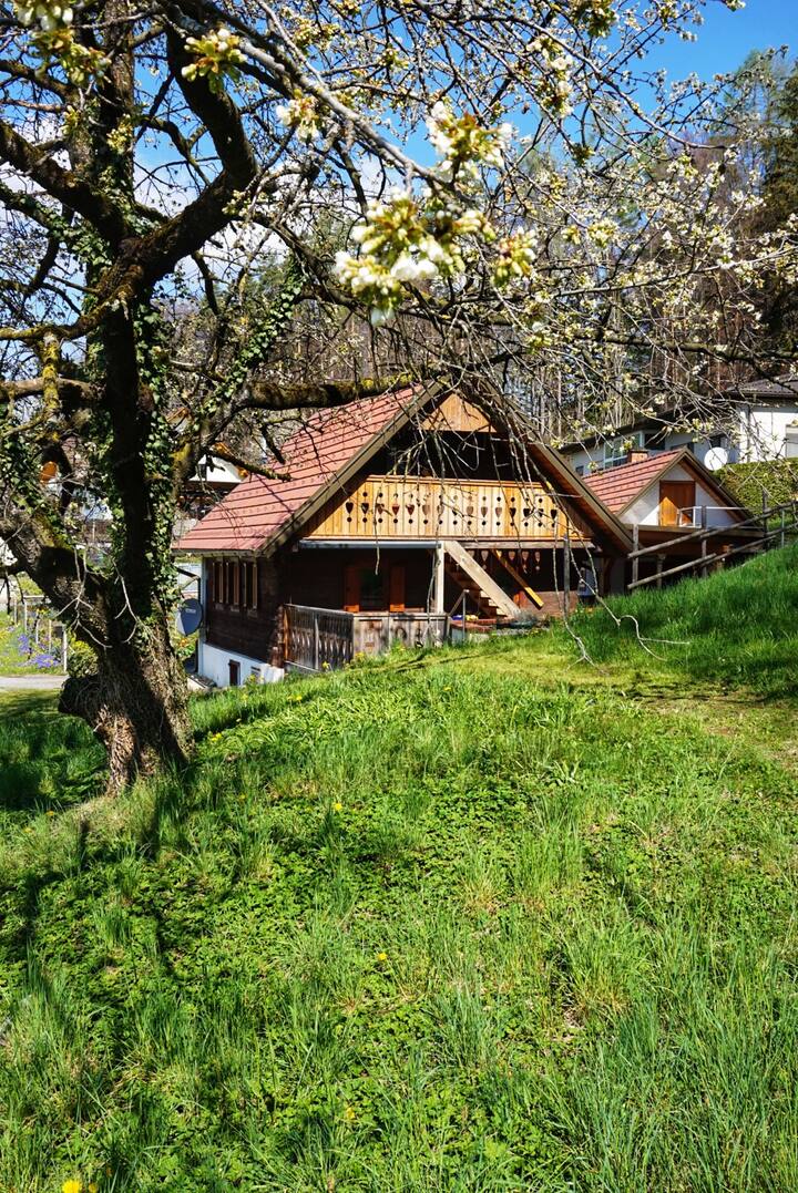 Kleines Haus In Haselbach Bei Weiz, Steiermark - Teichalm
