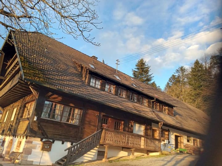 Urlaub Im Schönen Schwarzwald - Haslach im Kinzigtal
