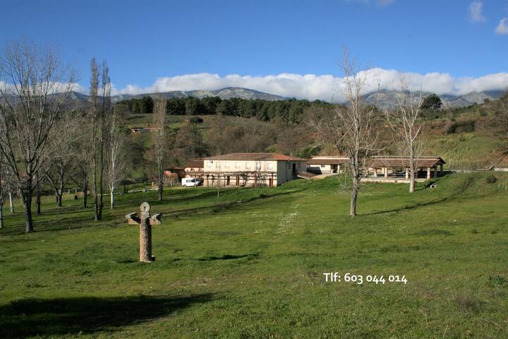 Complejo Y Casa Rural En Amplia Finca En Gredos - Madrigal de la Vera