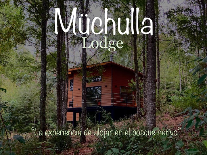 Müchulla Lodge, Panguipulli - Puyehue