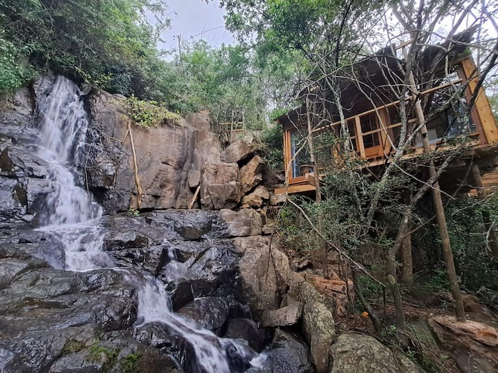 Forest Falls Treehouse - Howick