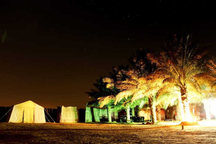 Bedouin Tents In The Desert - Abu Dhabi