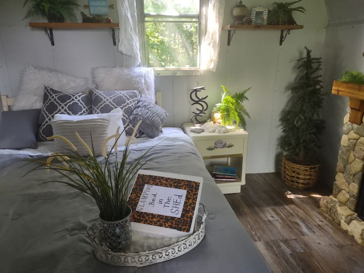 D Bed N Shed
Glamping Experience - Knoxville