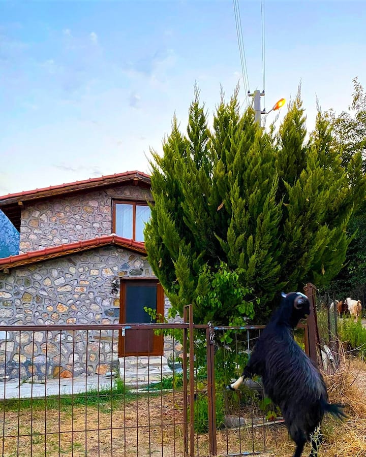 Dağ Manzaralı Taş Ev  /  Cozy Stone House - Antalya Ili, Türkiye