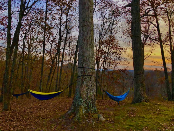 Nashville Primitive Camping Walnut - Nashville, TN