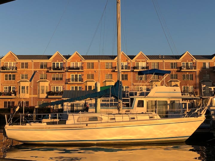 36f Charming Sailboat - Baltimore, MD