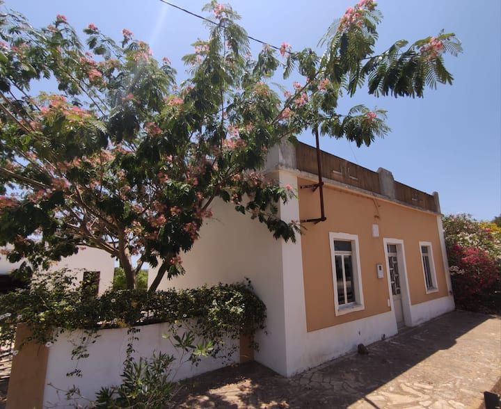 Traditional Rural House In Algarve - Silves