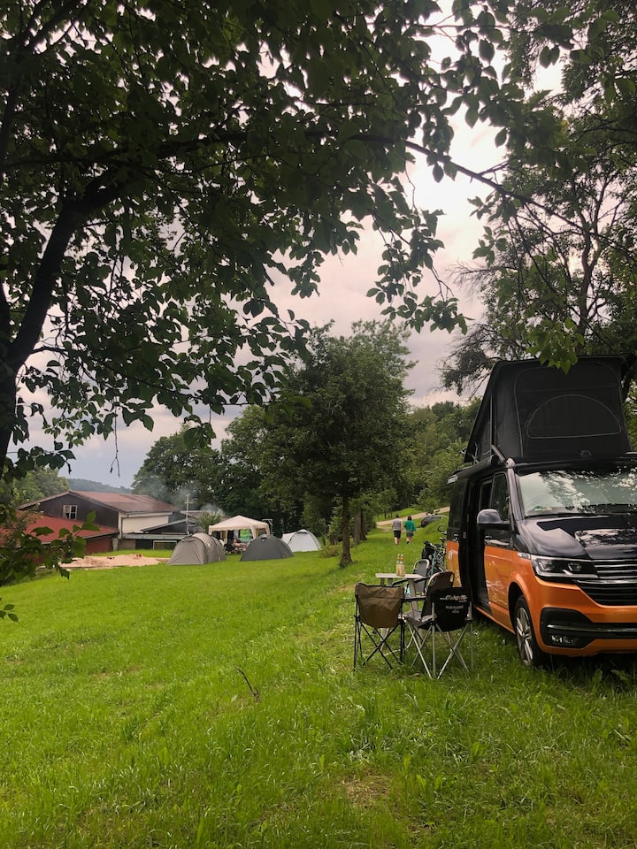 Campsite On Organic Farm In The Black Forest - Black Forest
