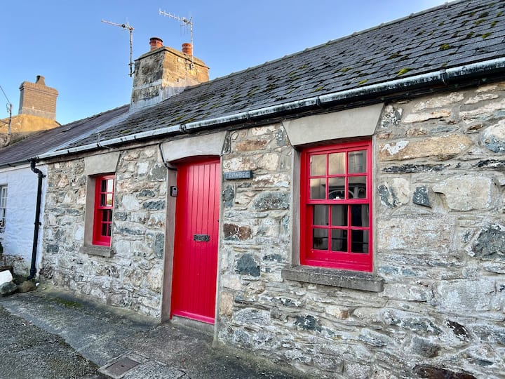 Characterful Cottage In Heart Of Newport, Pembs - 펨브룩셔